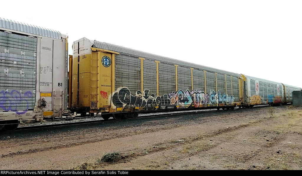 TTGX 988971 Rack BNSF 